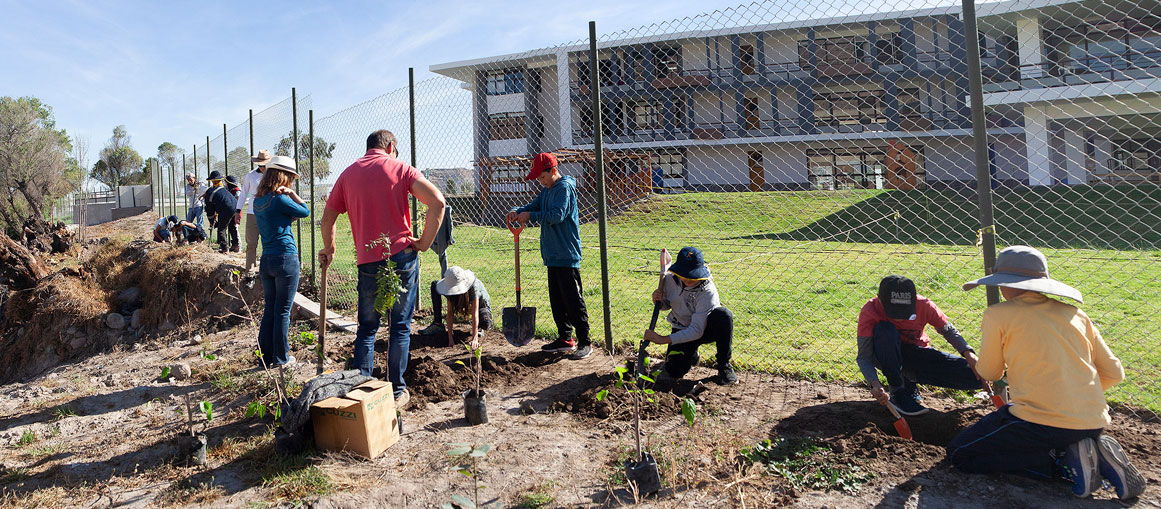 Proyecto de arborización - Projet d'arborisation