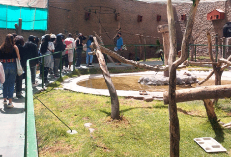 Visita al Parque Zoomundo de Arequipa / Visite du parc Zoomundo à Arequipa