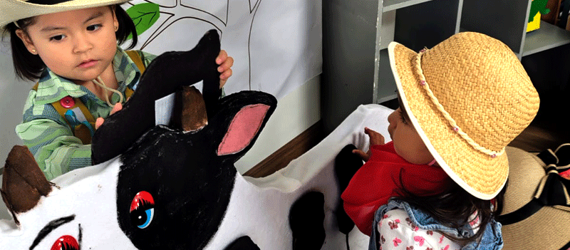 Animales de la granja