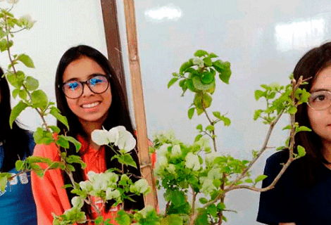 Proyecto: Sembrando vida, cuidando el futuro / Projet : Semer la vie, prendre soin de l’avenir