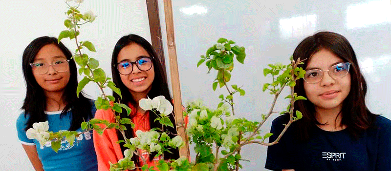 Proyecto: Sembrando vida, cuidando el futuro