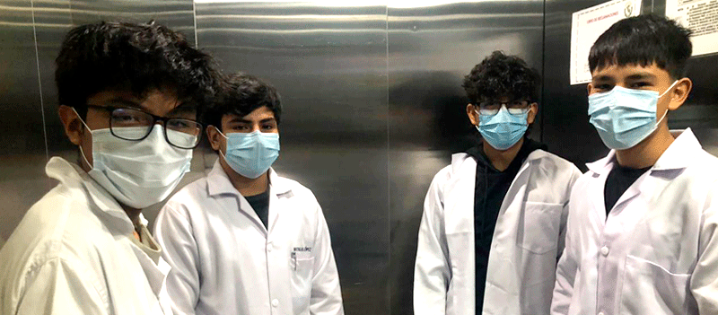 Programa de pasantías 2025