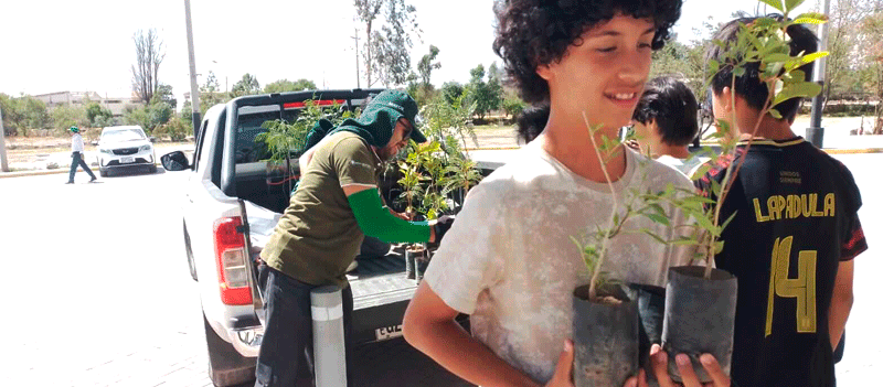 Donación de árboles por parte de Minera Cerro Verde