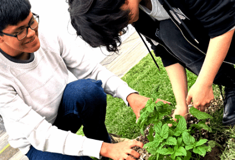 Participamos en la campaña de vegetalización del Colegio Franco-Peruano de Lima / Nous participons à la campagne de végétalisation du Collège franco-péruvien de Lima