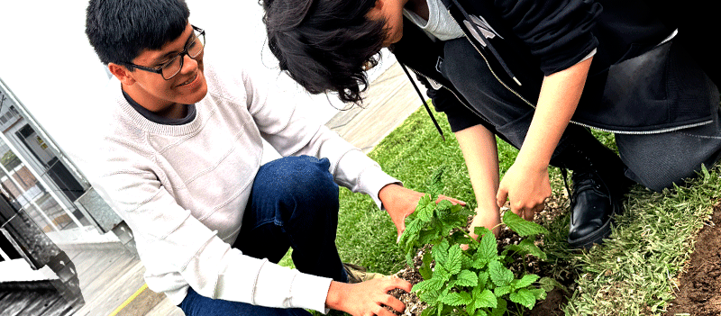 Campaña de vegetalización en el Colegio Franco-Peruano de Lima
