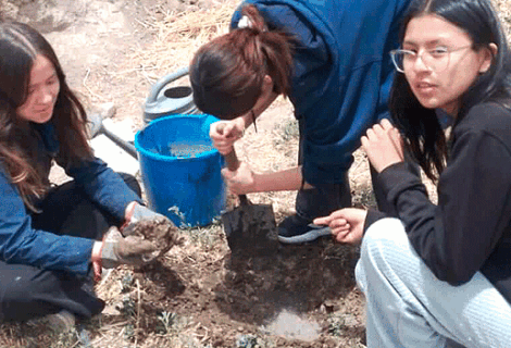 Reforestación del colegio con árboles frutales / Reforestation de l’école avec des arbres fruitiers