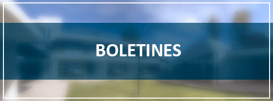 Boletines