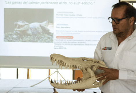 Charla de SERFOR – Conocer para Conservar