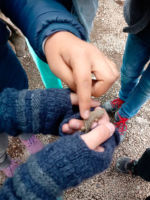 Excursión a Patapampa