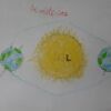 Los solsticios