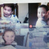 Nuestras mascotas