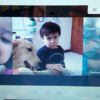 Nuestras mascotas