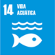 Vida acuática