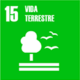 Vida terrestre