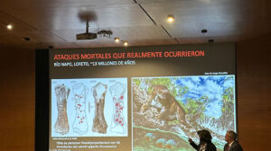 Documental y libro IRD